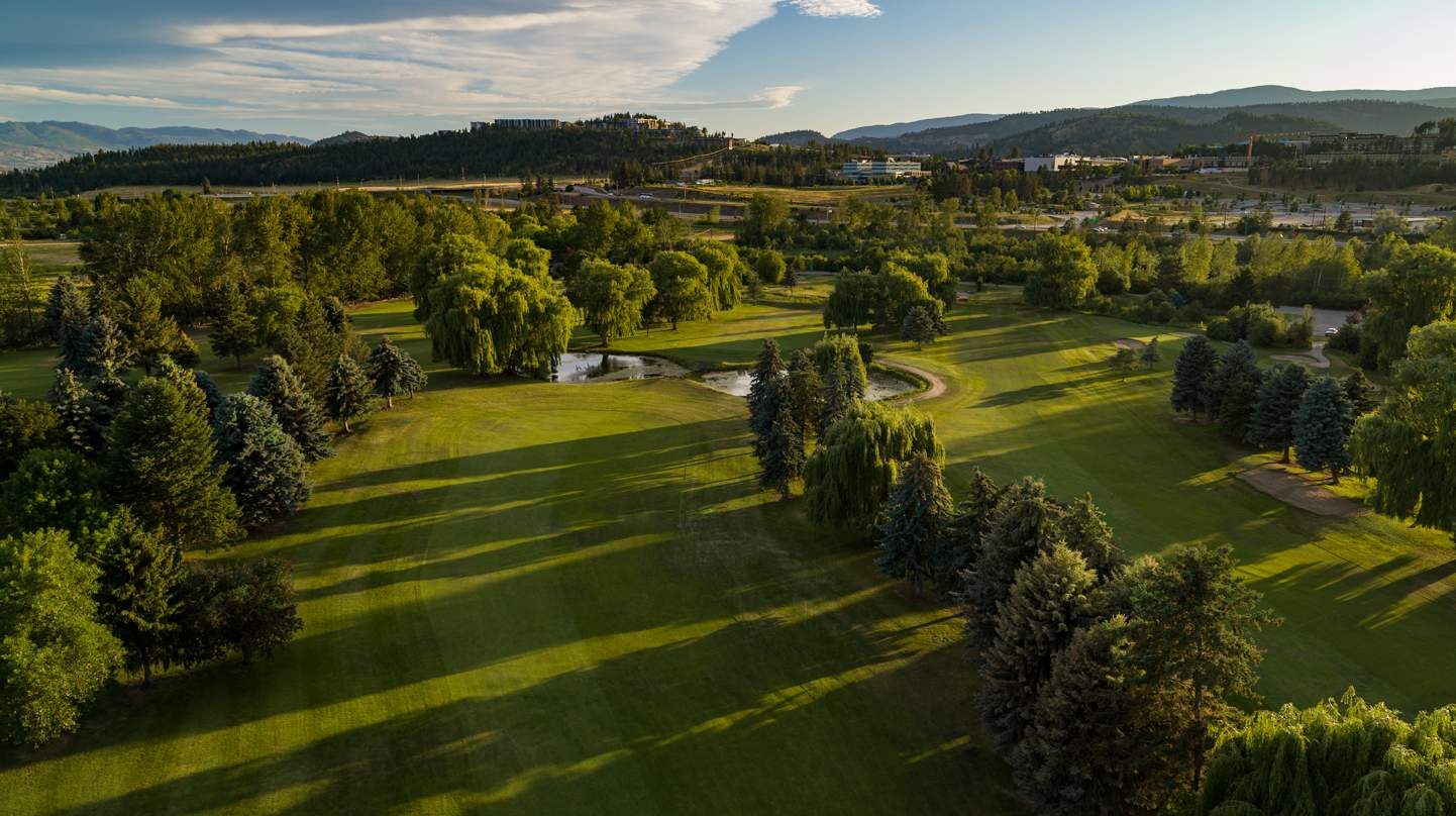 Overlooking Shadorridge Golf Course with the sun shining