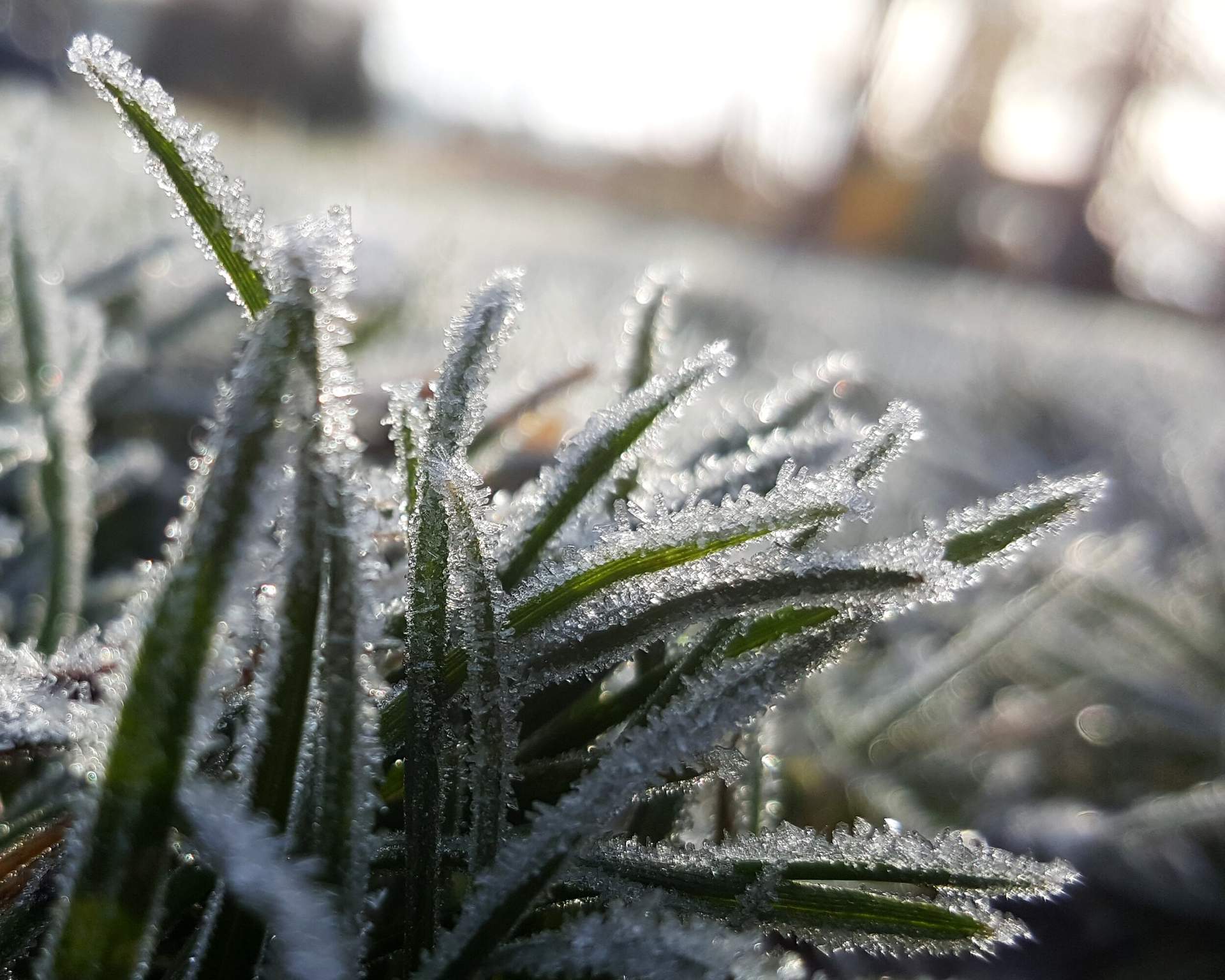 5 THINGS TO KNOW ABOUT FROST DELAYS